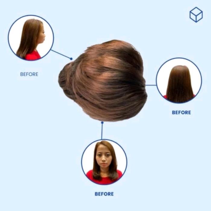 hairclip sirkam sasak sirkam sanggul sasak sirkam pramugari