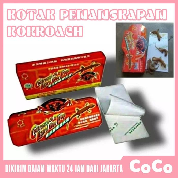 Termurah-Perangkap Cicak Kecoa-Lem Paling Ampuh Cicak
