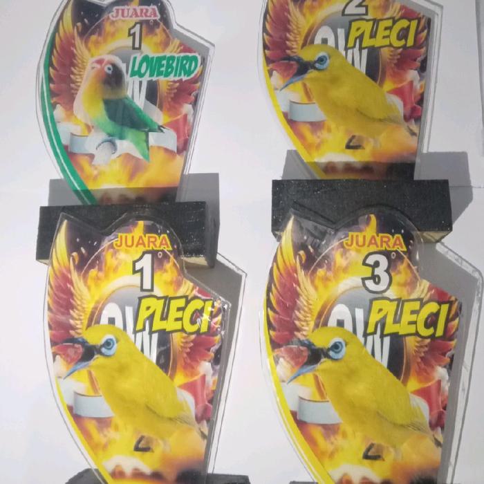piala alkrilik lomba burung