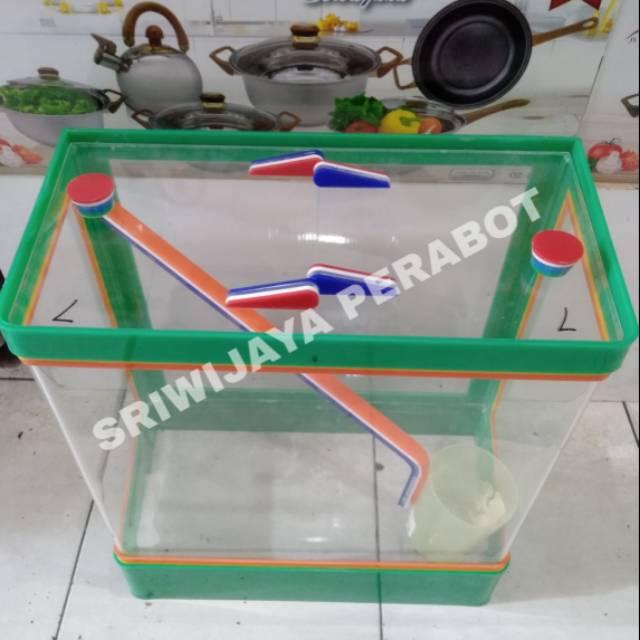 Aquarium Es Kelapa/ Aquarium Es Buah ukuran Jumbo