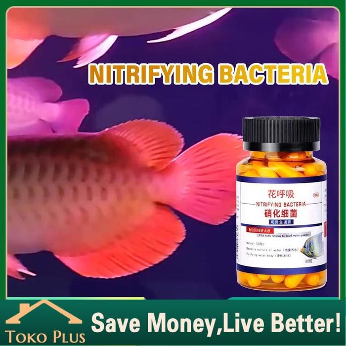 30Pcs Obat Ikan Anti Bakteri Jamur BAKTERI STARTER Untuk Koi, Penjernih Air dan Pengurai Amonia Pada
