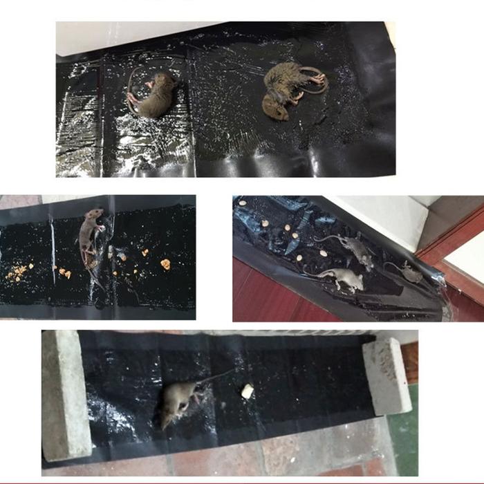 10PCS Magic Karpet Lem Tikus/Lem Tikus Super Besar /Lem Tikus Ukuran 0.6M/1.2 Meter/Lem
