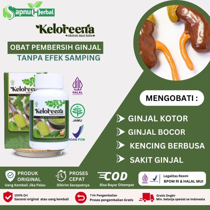 OBAT PEMBERSIH GINJAL DAN URIN, PEMBERSIH GINJAL KOTOR, DETOKSIFIKASI GINJAL, SAKIT GINJAL, BATU GIN