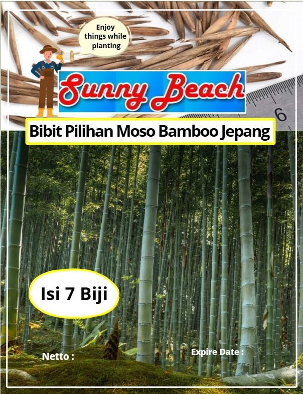 Sunny Beach Bibit Pilihan Moso Bamboo Jepang Isi 7 Biji Biji Benih Moso Bamboo Bambu Enjoy Things Wh