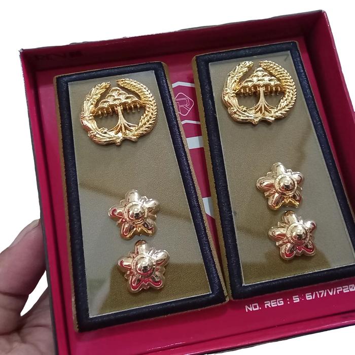 4B Tanda Jabatan Pangkat Pns Asn Lampung Bandar Lampung Golongan 4B  Seragam Elegan Clips Gold Akses