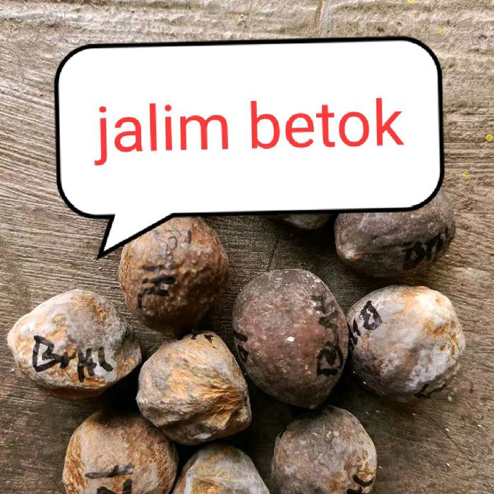 dompet cowok bahan kulit sintetis prodak pak jalim btk