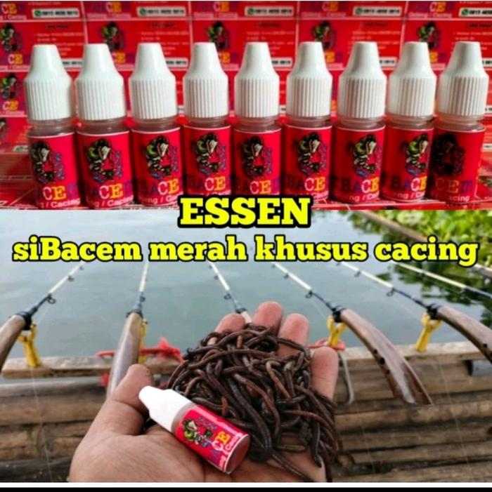 Essen Nila Si Bacem Merah ( Media Cacing dan geleng)
