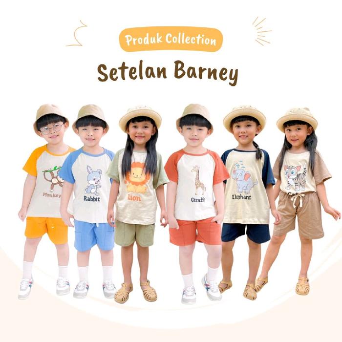 Setelan Barney - Produk Collection