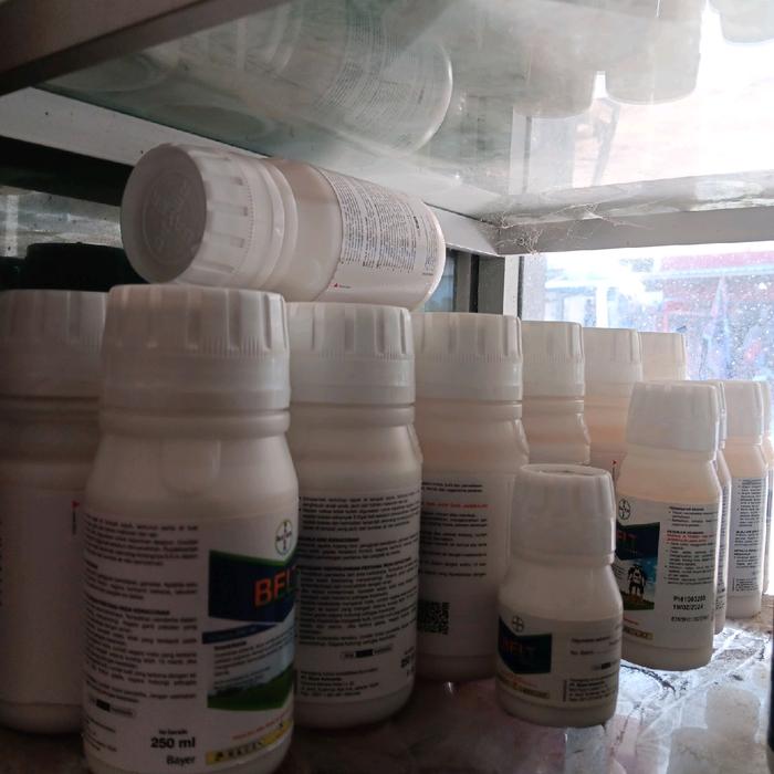 INSEKTISIDA BELT EXPERT 480 SC,pengendali sundep dan belok