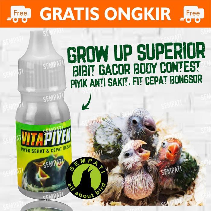 spet suntikan kecil hewan sakit 1ml s suntikan kucing sakit suntikan