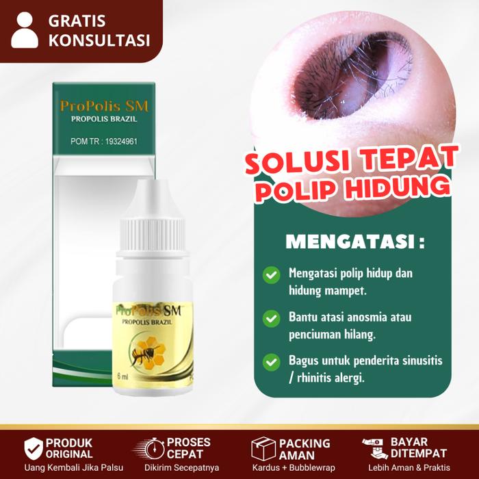 OBAT HERBAL POLIP HIDUNG, HIDUNG TERSUMBAT / MAMPET, BENJOLAN DI HIDUNG, FLU MENAHUN - PROPOLIS SM