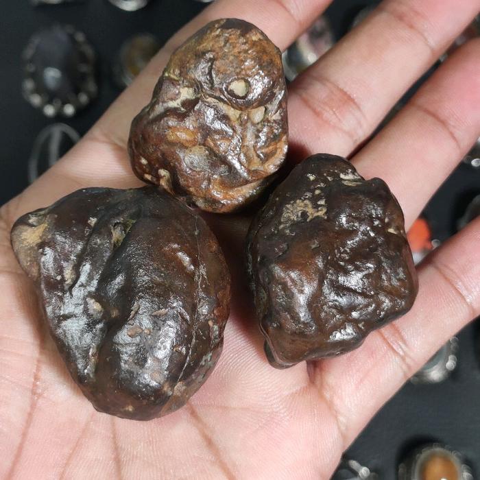 batu akik mustika koncang