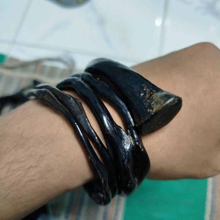 akar bahar hitam lilit tiga bonggol dan bercabang