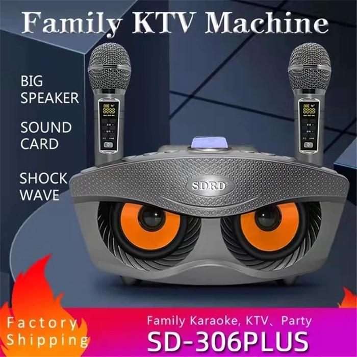 SD306Plus30W Dual Wireless Microphone Audio Integrated Machine