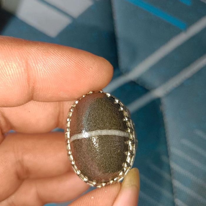 batu akik fosil kelor kendit