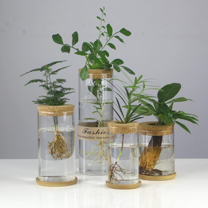 Pot Bunga Hidroponik Mini Vas Tanaman Kaca Terarium Transparan Pot