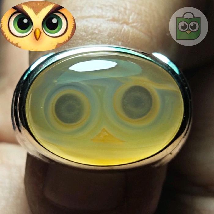 Kolektor Item - Batu Akik Kristal Gambar  Burung Hantu - Sumur Bandung Manten - Cincin Batu Akik Kri