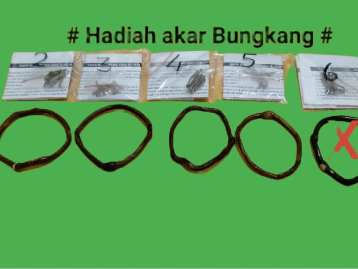 Limited Edition Gelang Akar Bungkang Batang Besar dari Gunung Meratus - Produk Terbatas untuk Bracel
