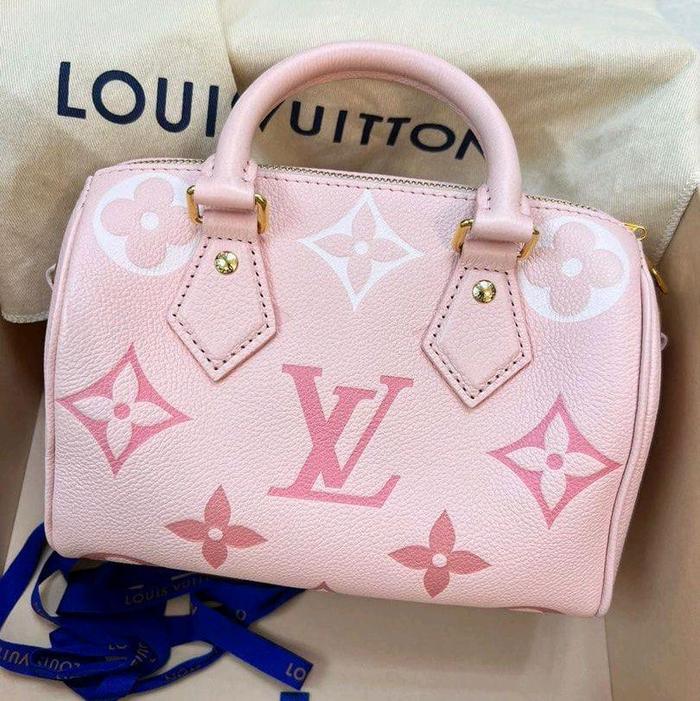 AUTHNETIC LV SPEEDY 20 BICOLOR PINK PRELOVED