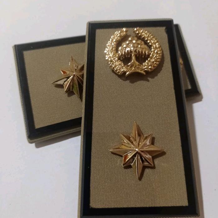 4C Tanda Jabatan Pangkat Pns Asn Lampung Bandar Lampung Golongan 4C  Seragam Elegan Clips gold Bros 