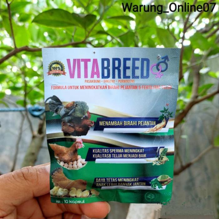 Vitamin B Komplek BCOMP 1000 tablet vitamin Ayam Bebek Sapi Kambing