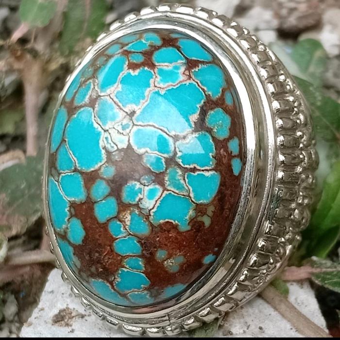 Pirus Mesir Natural Jenong Ganteng