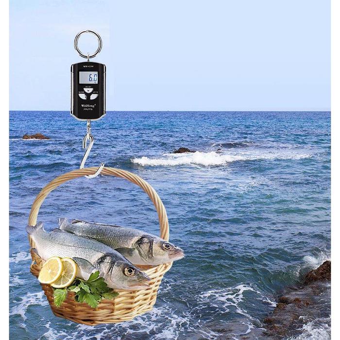 Mini Portable Timbangan Gantung Digital Tugas Berat Skala 200Kg/100G Industri Timbangan Gantung Timb