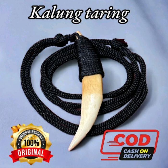 KALUNG ACCESORIES TB/TARCAN