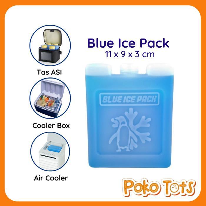 Cool Gel Ice Pack Mini Kotak Uk.11x9 cm Ice Gel Cooler Box - Warna