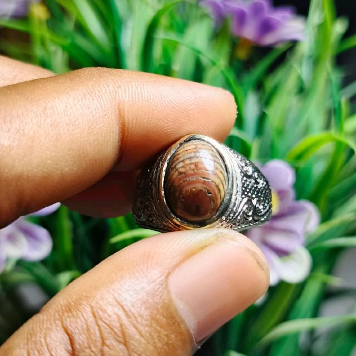 Cincin Batu Akik Jipen Sisik Ular Madura, Pamor Bungkem Klembeng