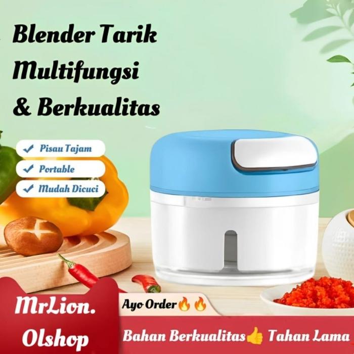 Mini Food Chopper Blender Bumbu Manual / Speedy Chopper Mini Blender Mrlion