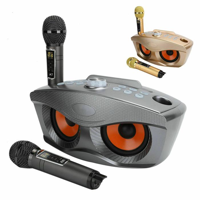 SD306Plus Mesin Karaoke Profesional Speaker Bluetooth Nirkabel dengan