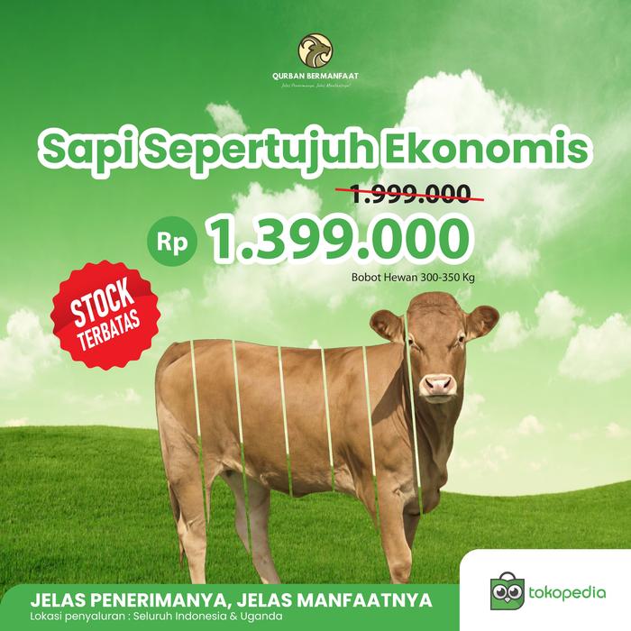 Sapi Sepertujuh Ekonomis, 280-300 kg - Qurban Bermanfaat / Kurban 1/7