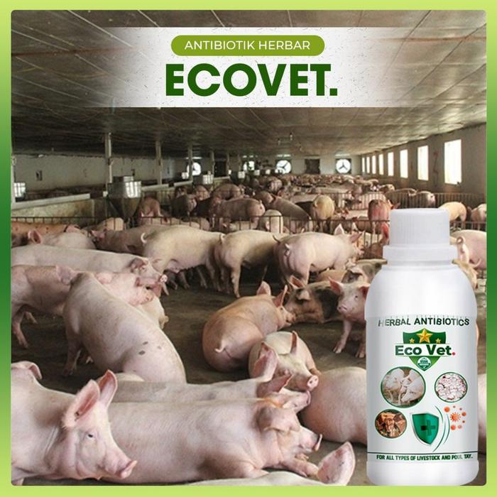 Multivitamin / PENAMBAH NAFSU MAKAN anjing/kucing VIRBAC NUTRI PLUS