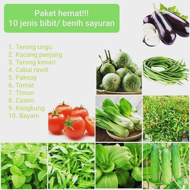 Paket Hemat! Benih Bibit isi 10 Jenis Sayuran (kangkung, bayam, terong ungu, terong lalap, kacang pa
