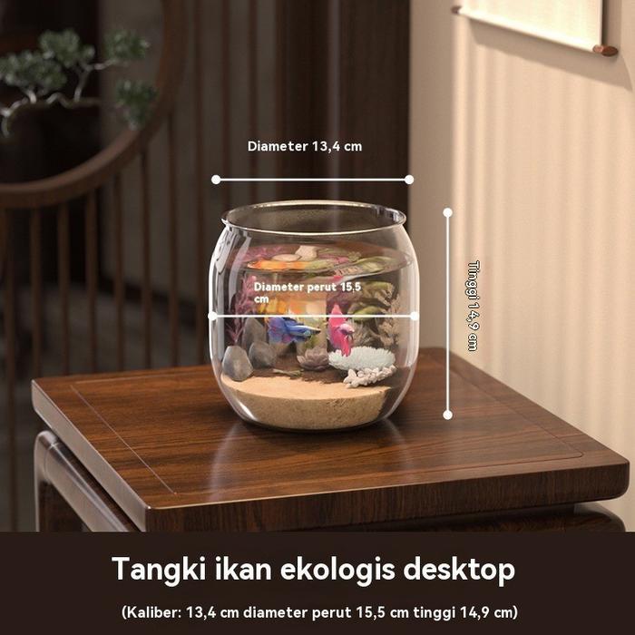 Aquarium Bulat Mini Bulat Aesthetic Aquarium Tank Cupang Mini Vas Aquarium Bulat Ikan Hias Fish Bowl