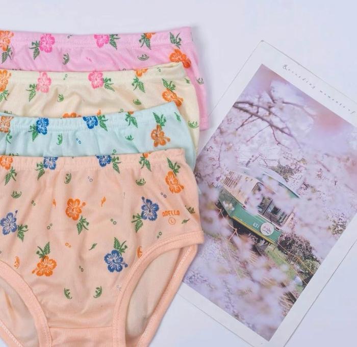 12 PCS CD Haid Menstruasi Celana Dalam Wanita Big Size Jumbo