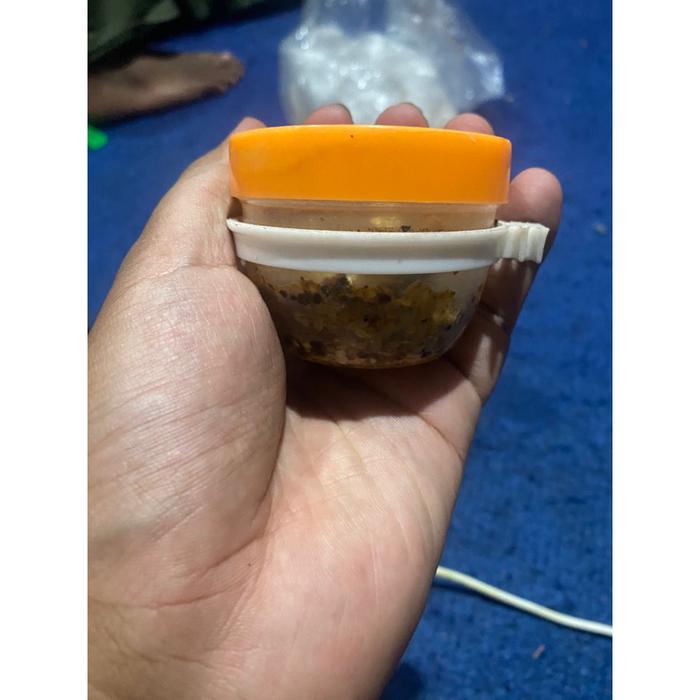 BOSTER PROBIOTIK IKAN AQUA ENZYM 500 GRAM | BOSTER AQUAENZYMS