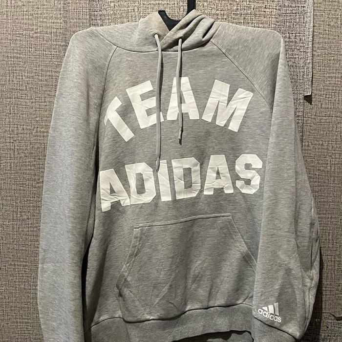 TEAM ADIDAS hoodie grey (2nd)