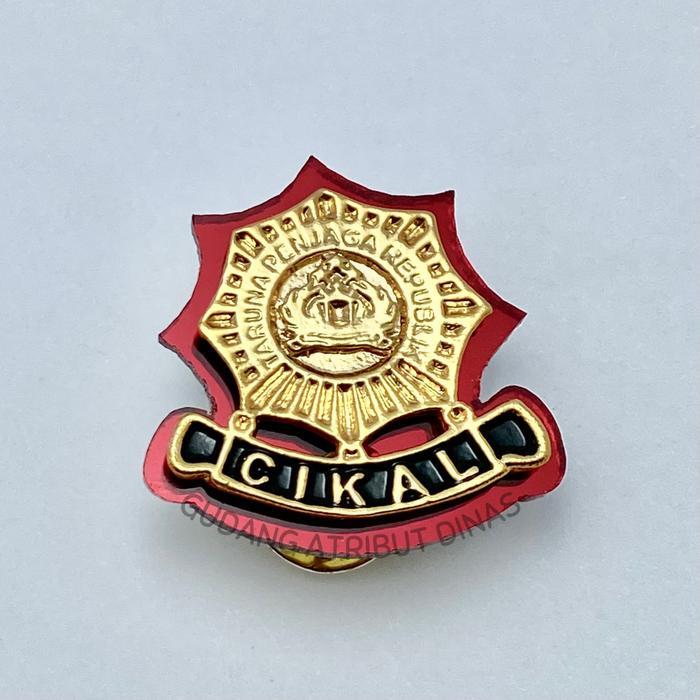 Terbaru Pin Cikal / Pin Outbond Cikal / Brevet Cikal / Atribut Dinas / Gudang Atribut Dinas