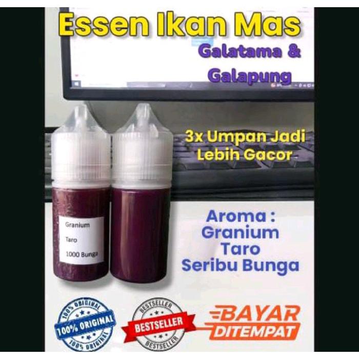 GRANIUM TARO SERIBU BUNGA Essen Ikan Mas Paling Gacor Harian Galatama Original Terlaris Siang Malam