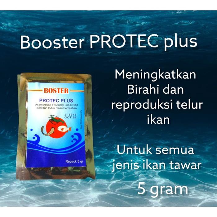 [NEW] Protabumin - Kapsul  Ikan Gabus