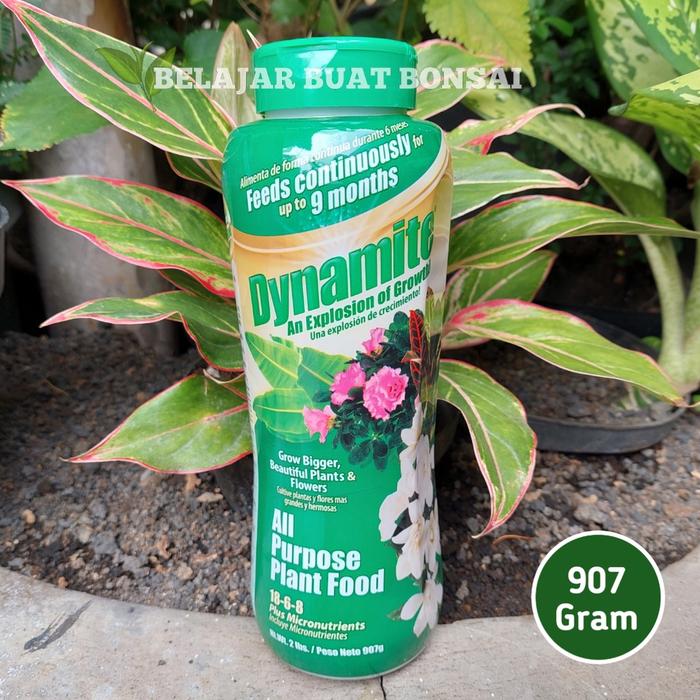 Pupuk Dynamite Hijau 18 6 8 Kemasan Pabrik 907 Gram
