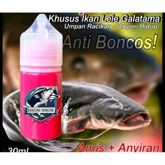 Essen Oplosan Galatama Lele Paling Gacor Ikan Lele Kolam Harian Dan Galatama Indukan Paling Jitu, Es