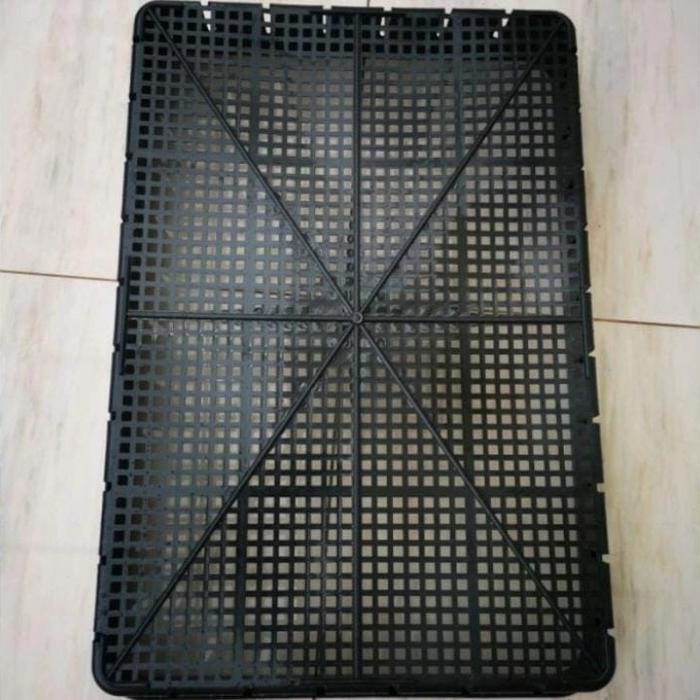 Tray semai 50cm / Tray mix pot 50cm