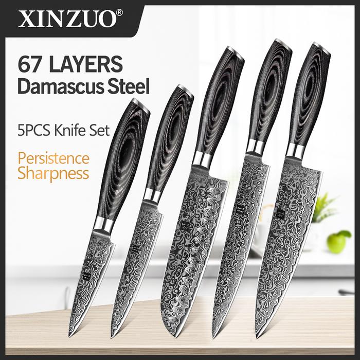 XINZUO 5 buah Set pisau dapur 67 lapisan Cina VG10 baja Damaskus koki