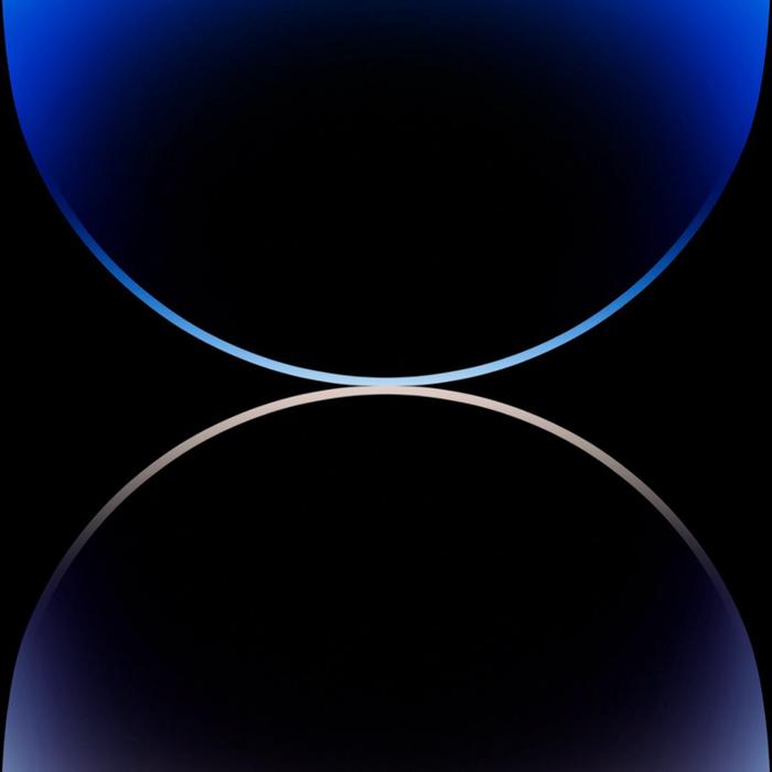 blue pulcra 8cm