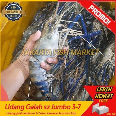 (Cooger) Udang Galah Segar Jumbo Gede Segar/Fresh 1 Kg Isi 4-7 Ekor ( Box)