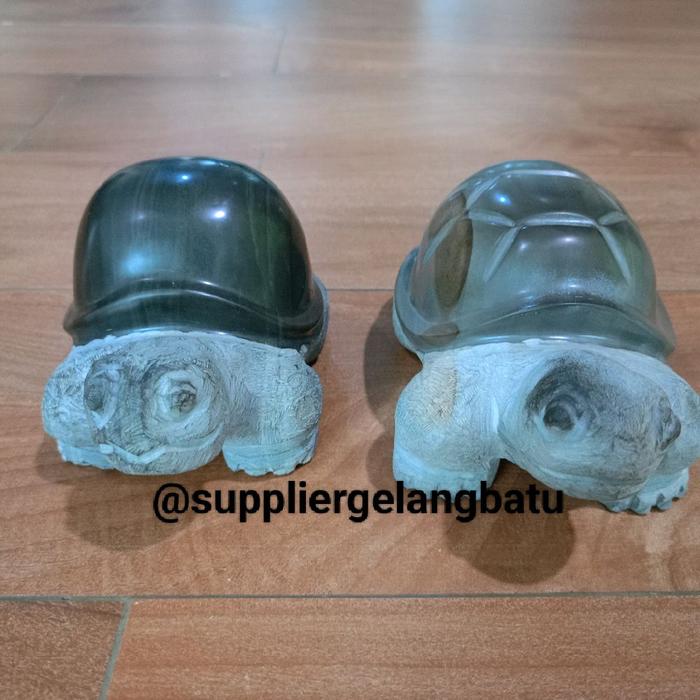 Natural bongkah sepasang kura kura black obsidian Aldabra tortoise