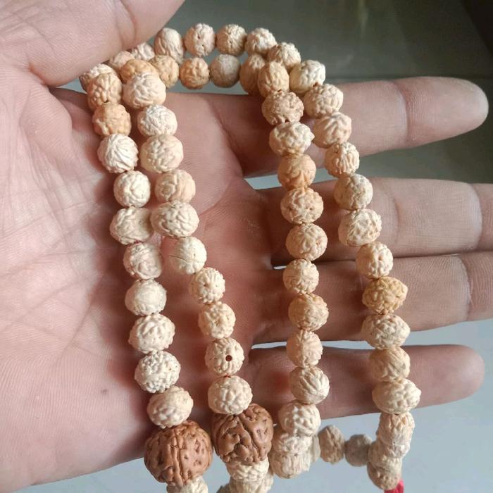 Tasbih Biji Bidara Arab Riqyah - Tasbih Biji Bidara Riqyah untuk Doa dan Ibadah